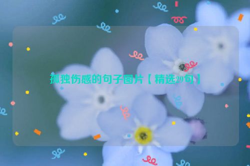 孤独伤感的句子图片【精选29句】