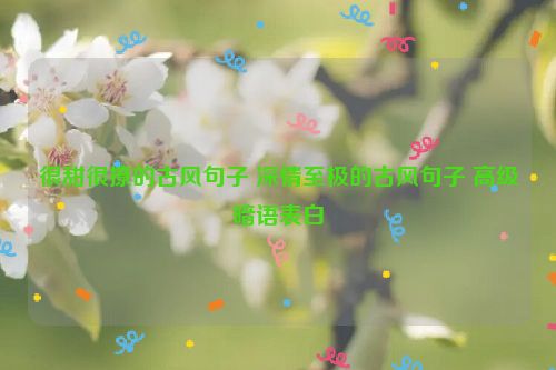 很甜很撩的古风句子 深情至极的古风句子 高级暗语表白