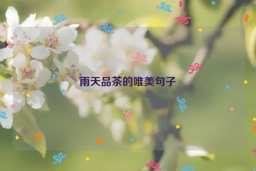 雨天品茶的唯美句子