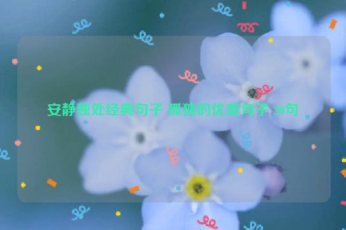 安静独处经典句子 孤独的优美句子 20句