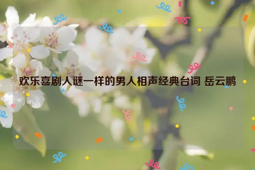 欢乐喜剧人谜一样的男人相声经典台词 岳云鹏