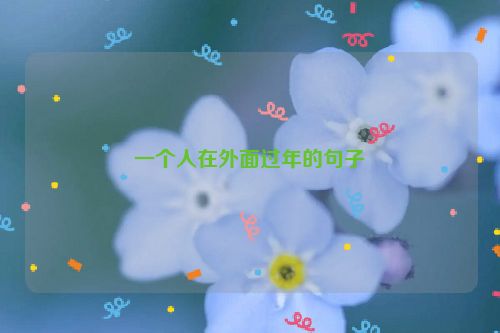 一个人在外面过年的句子