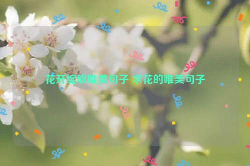 花开绽放唯美句子 求花的唯美句子
