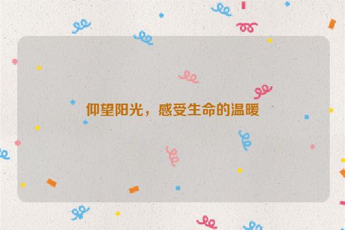 仰望阳光，感受生命的温暖