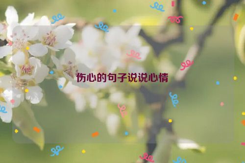 伤心的句子说说心情
