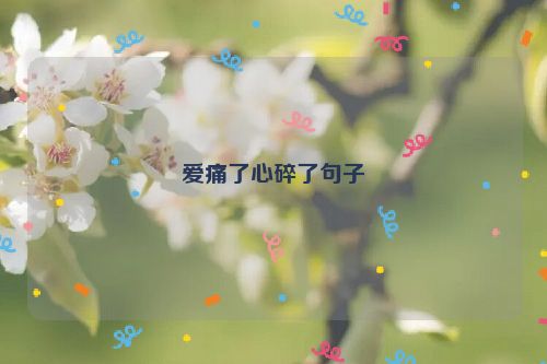 爱痛了心碎了句子