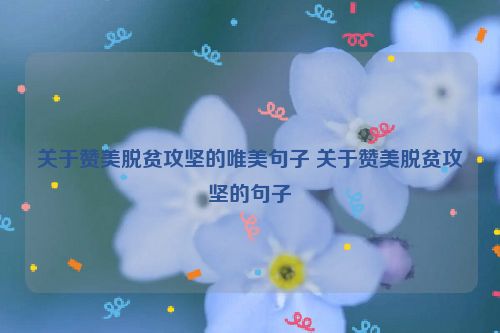 关于赞美脱贫攻坚的唯美句子 关于赞美脱贫攻坚的句子