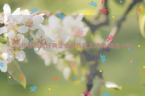 2022年搜狐网经典企业宣传软文经典(精选49句)