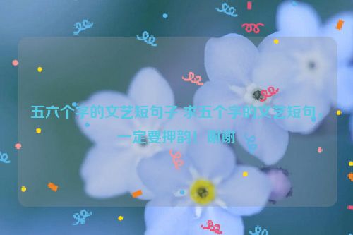 五六个字的文艺短句子 求五个字的文艺短句，一定要押韵！谢谢