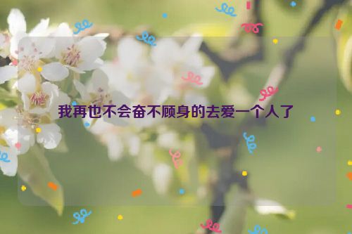 我再也不会奋不顾身的去爱一个人了