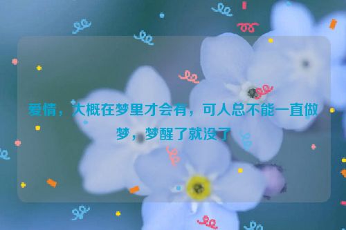 爱情，大概在梦里才会有，可人总不能一直做梦，梦醒了就没了