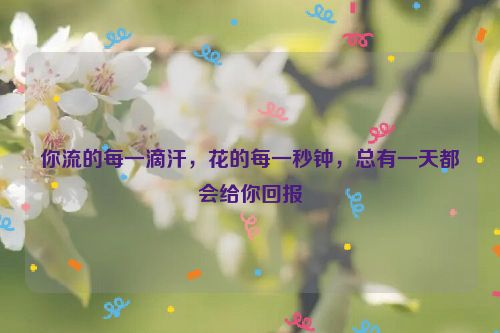 你流的每一滴汗，花的每一秒钟，总有一天都会给你回报