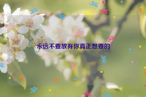 永远不要放弃你真正想要的