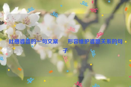 吐槽婆婆的一句文案      形容维护婆媳关系的句子