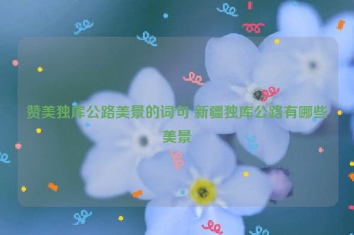 赞美独库公路美景的词句 新疆独库公路有哪些美景