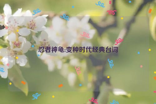 忍者神龟:变种时代经典台词