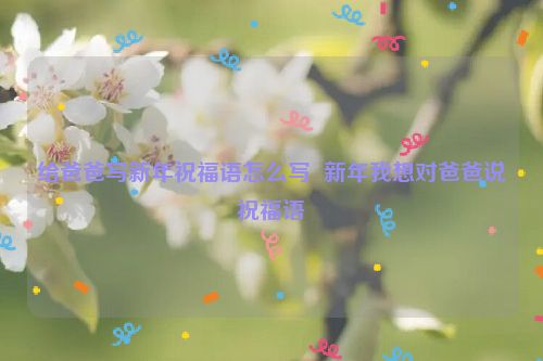 给爸爸写新年祝福语怎么写  新年我想对爸爸说祝福语