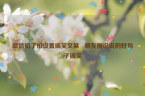 微信拍了拍设置搞笑文案   朋友圈说说的好句子搞笑