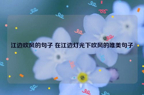 江边吹风的句子 在江边灯光下吹风的唯美句子