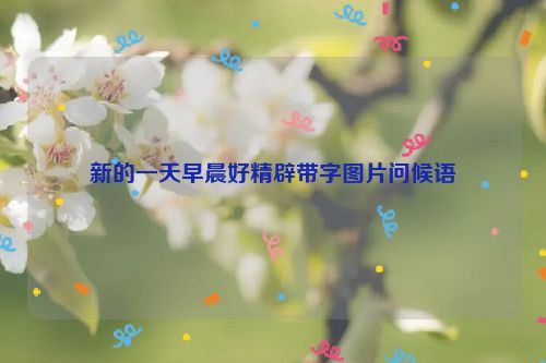 新的一天早晨好精辟带字图片问候语