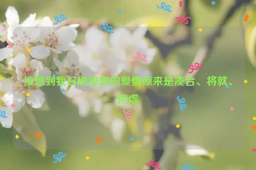 没想到我日思夜想的爱情原来是凑合、将就、焦虑