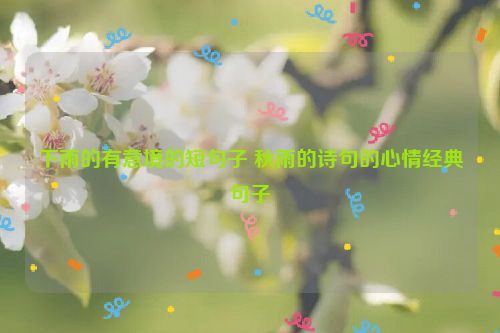 下雨的有意境的短句子 秋雨的诗句的心情经典句子
