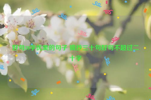 好句20字优美的句子 摘抄三十句好句不超过二十字