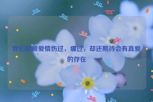我们都被爱情伤过，痛过，却还期待会有真爱的存在