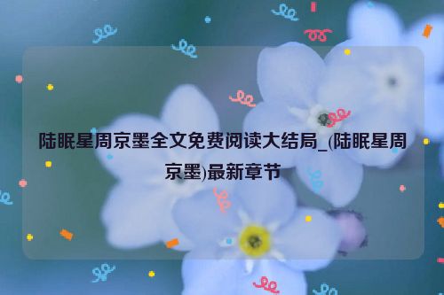 陆眠星周京墨全文免费阅读大结局_(陆眠星周京墨)最新章节