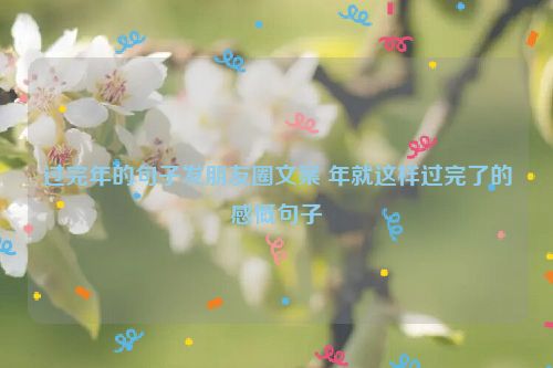 过完年的句子发朋友圈文案 年就这样过完了的感慨句子